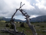 Clicca qui per vedere l'immagine in dettaglio